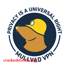 Mullvad VPN 2022.4 Crack With Serial Key Free Download 2022