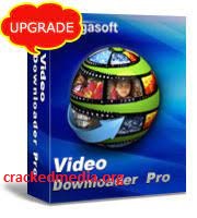 Bigasoft Video Downloader Pro 3.25.0.8257 Crack